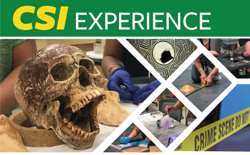 CSI experience summer camp CSI experience summer camp